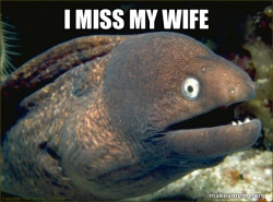 Bad Joke Eel