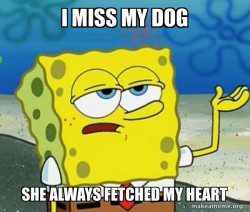 I miss my bitch