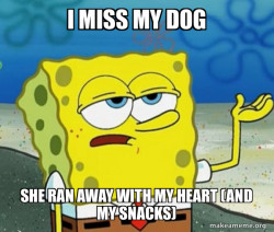 I miss my bitch