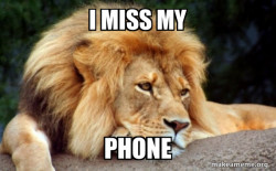 Confession Lion