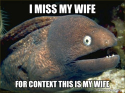 Bad Joke Eel