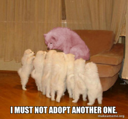 Malicious Storytelling Dog