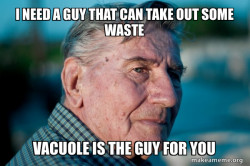 Marriage Advice Grandad