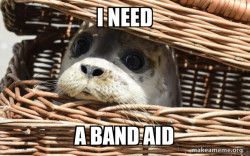 Seal dealer
