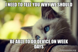 First World Cat Problems