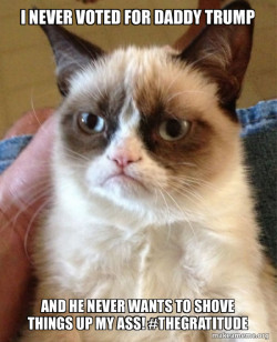 Grumpy Cat