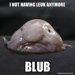 Blobvis