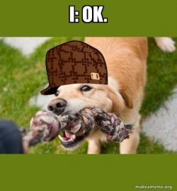Scumbag dog