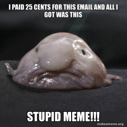 Blobfish