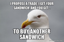 Seagull