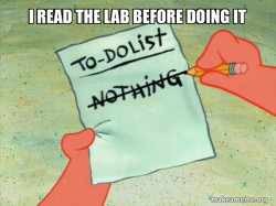 TO-DO List