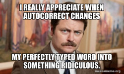 Ron Swanson : I am a Simple Man