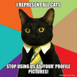 represent all cats