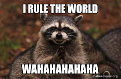 Evil Plotting Raccoon