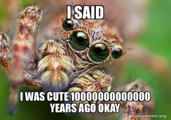 Hipster Spider
