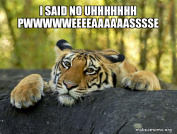 Confession Tiger