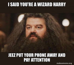 Hagrid I Should Not Have Said That Meme Generator Template