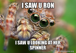 Hipster Spider