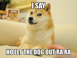 Doge