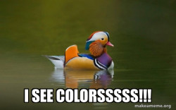 Fashionable Advice Mallard