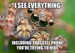 Hipster Spider
