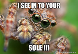 Hipster Spider
