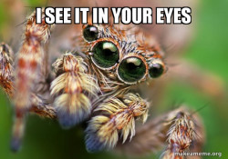 Hipster Spider
