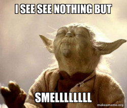 Yoda Smell