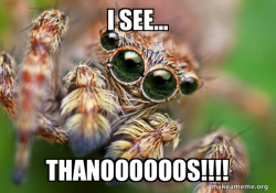 Hipster Spider