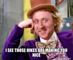 Willy Wonka Sarcasm Meme