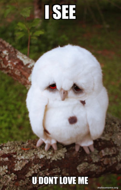Sad Owl