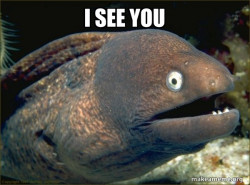 Bad Joke Eel
