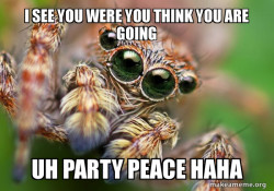 Hipster Spider