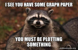 Evil Plotting Raccoon