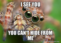 A Meme From Calista