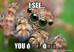 Hipster Spider
