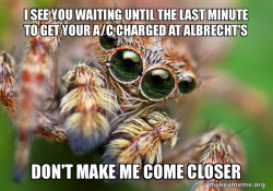Hipster Spider