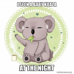 Aussie Koala HAS A COFFE 