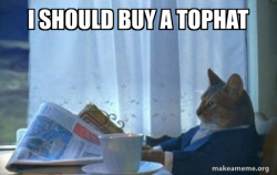 Sophisticated Cat