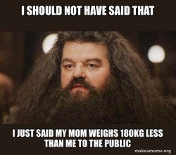 Hagrid - I should not have said that