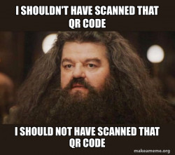 Hagrid - I should not have said that