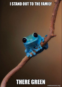Small Fact Frog