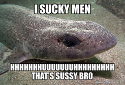 Dirty Joke Dogfish