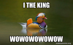 Fashionable Advice Mallard