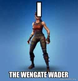 Renegade Raider Fortnite Skin