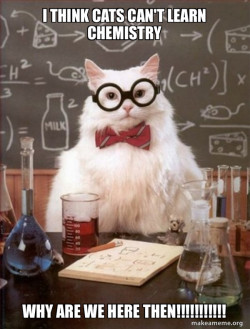 Chemistry Cat