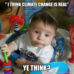 'Whatever' Kid