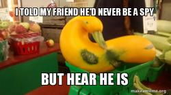 Gourd Advice Mallard