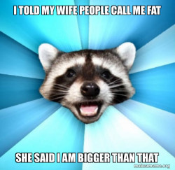 Lame Pun Coon
