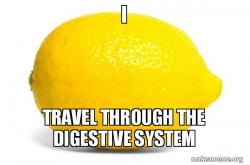 Lemon